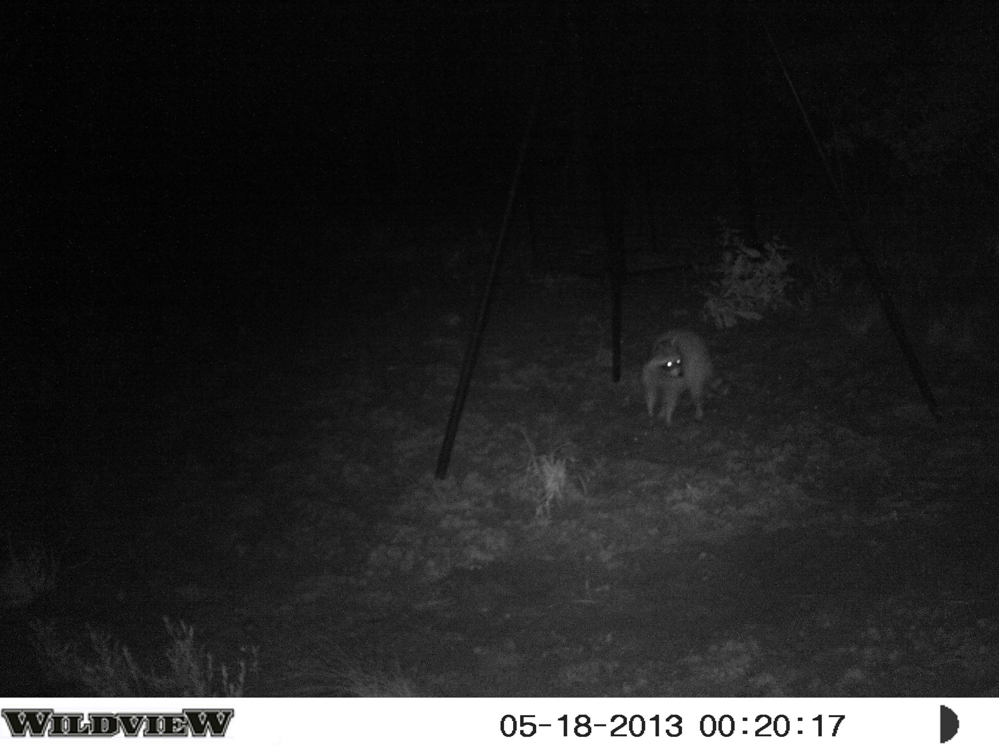 Your Lease, Your Choice.